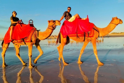 Tangier Unveiled: Private Half-Day Discovery with camel ride Tangier city tour
