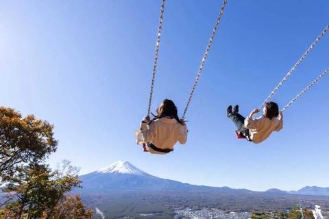 From Tokyo: Mt. Fuji & Hakone Private Scenic Day Tour