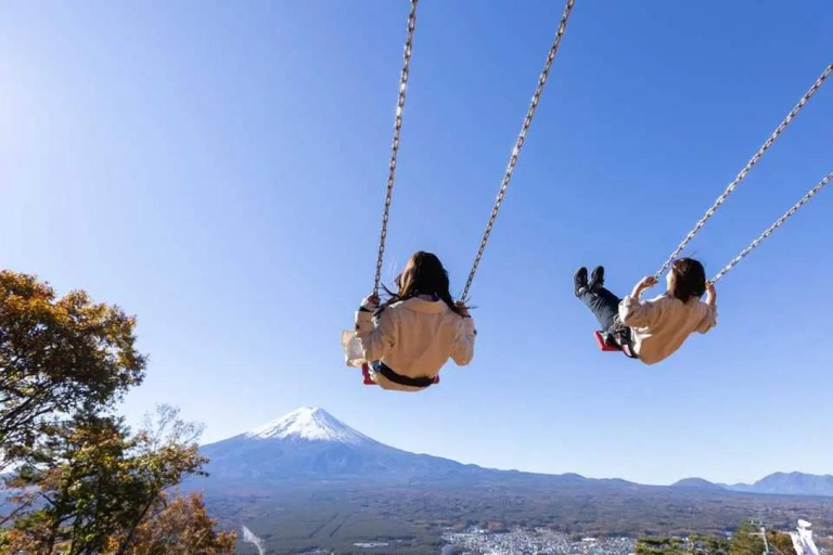 From Tokyo: Mt. Fuji & Hakone Private Scenic Day Tour