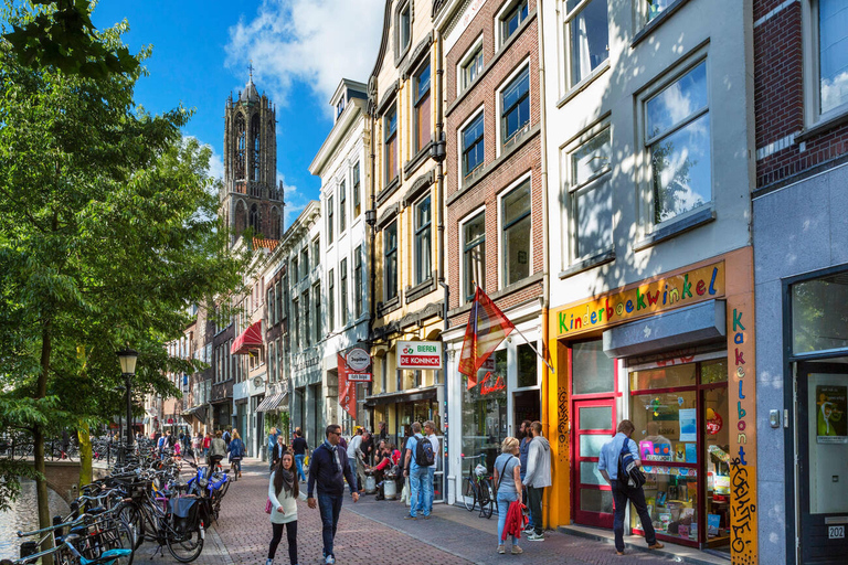 Rotterdam &amp; Haarlem: Private Full-Day Tour from Amsterdam