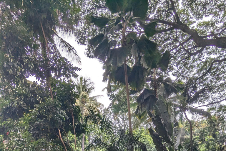 Bangalore: Budget Friendly City Tour pickup/lunch