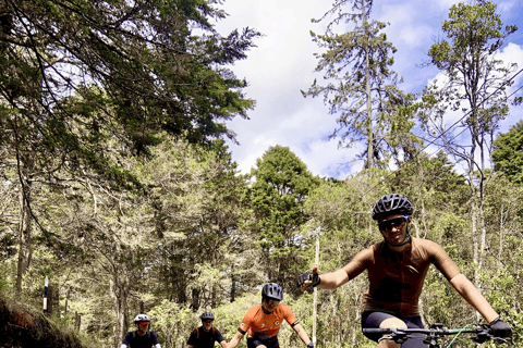 Medellín: Mountain Biking in the Clouds – Silletera Route and Cloud Forests