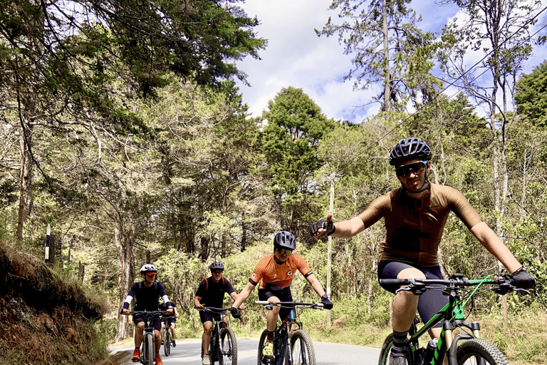 Medellín: Mountain Biking in the Clouds – Silletera Route and Cloud Forests