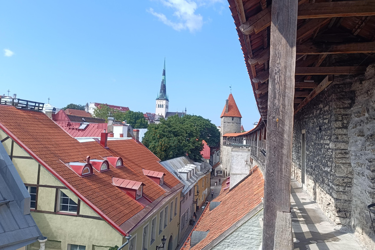 Medieval Tallinn - Carnivals, Punishments, Epidemics