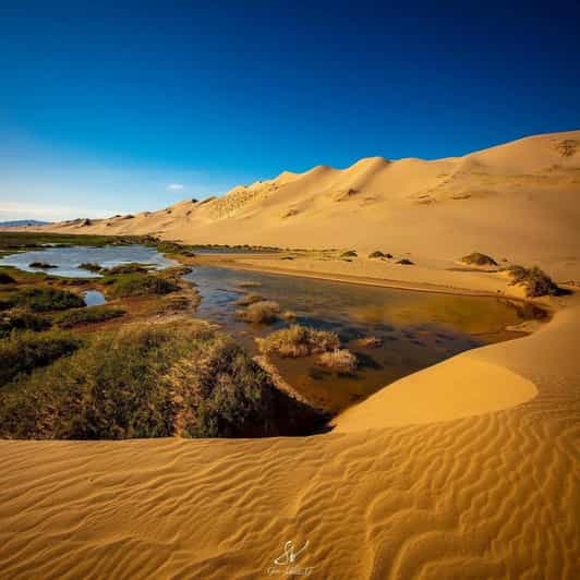 The BEST Gobi Desert Tours and Things to Do in 2024 - FREE Cancellation ...