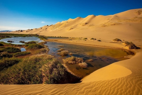12 day Great Gobi and Central Mongolia full adventure 12 day Great Gobi and Central Mongolia