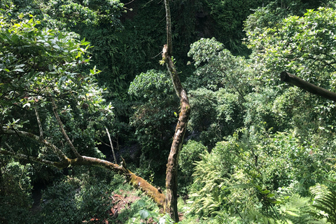 Randonnée à Arusha : chutes d&#039;eau de Napuru