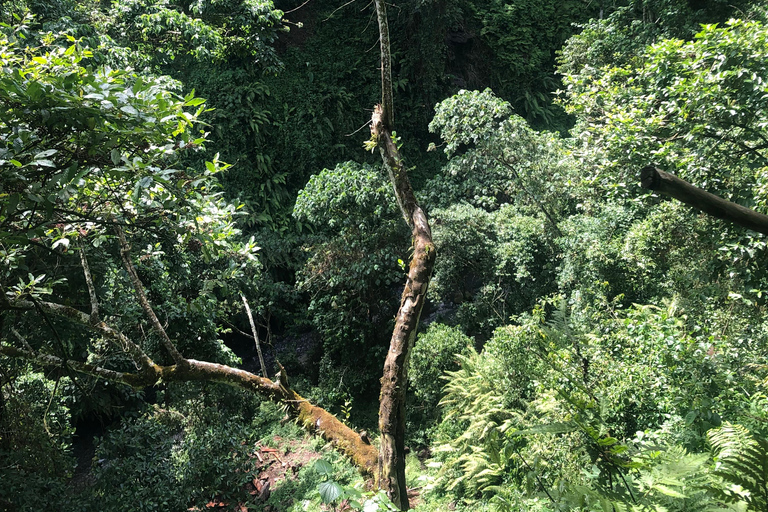 Arusha-Wanderung: Napuru-Wasserfälle