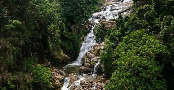 Ella Nature & Waterfall Tuk Tuk Journey