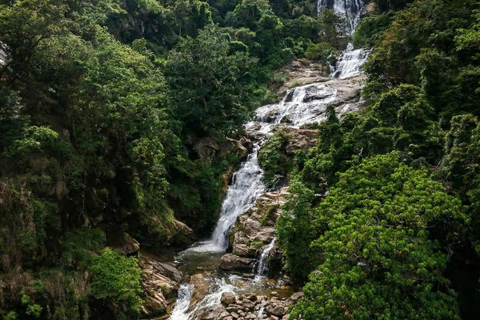Ella Nature & Waterfall Tuk Tuk Journey