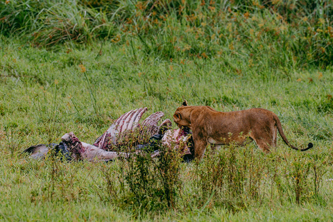 Kigali: Akagera National Park Safari with Boat Cruise