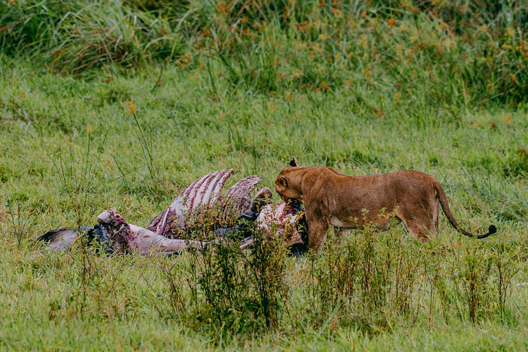 Kigali: Akagera National Park Safari with Boat Cruise
