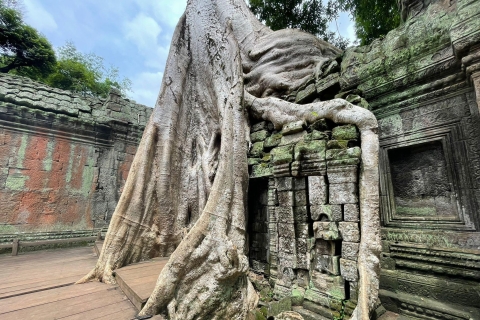 Excursión de un día entero al Templo de Angkor Wat en Tuk-TukVisita privada