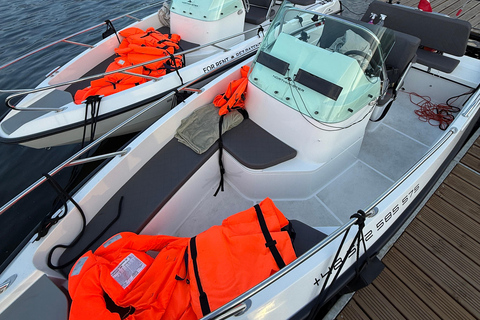 Gdańsk: Private Electric Boat Rental, No License Needed