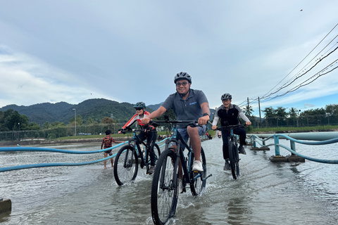 Langkawi: Small Group Countryside Cycling Tour Paddy Fields