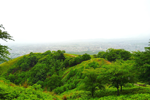 Nara: Hike Mt. Wakakusa and Encounter Wild Free-Roaming Deer