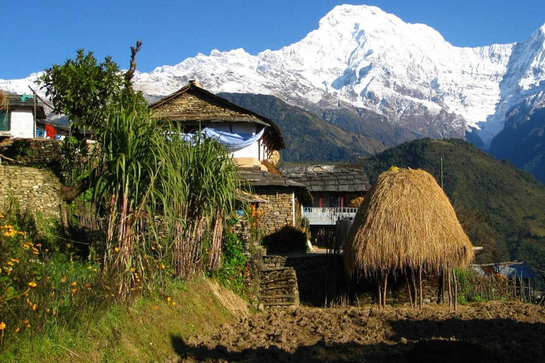 Easy Hike to Australian Base camp