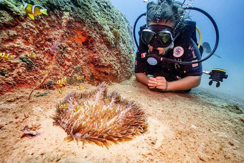 Cham Islands - Explore Islands Snorkelling Or Diving 2 Times Diving 1 Time By Speedboat