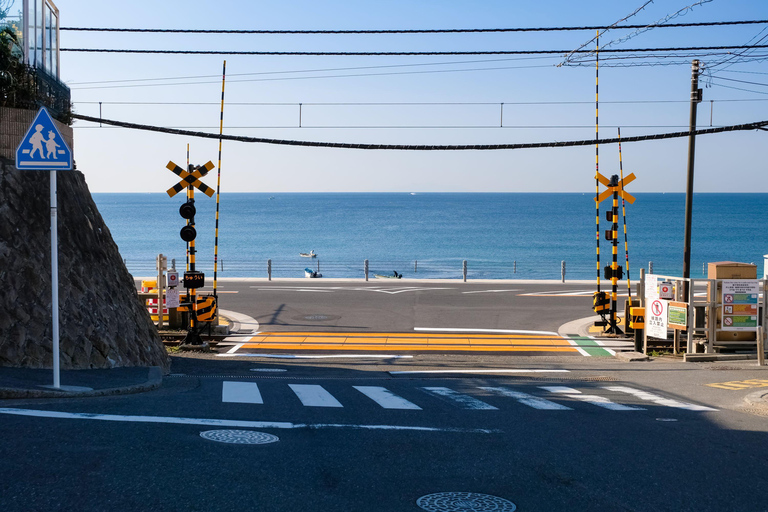 Tokyo: Enoshima, Kamakura, & Yokohama Tour (Enoden Included) Kamakura Y, from Shinjuku