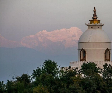 Da Pokhara: Escursione di un giorno al World Peace Stupa