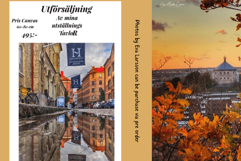 Gothenburg: Autumn Walking Tour Like a Local!