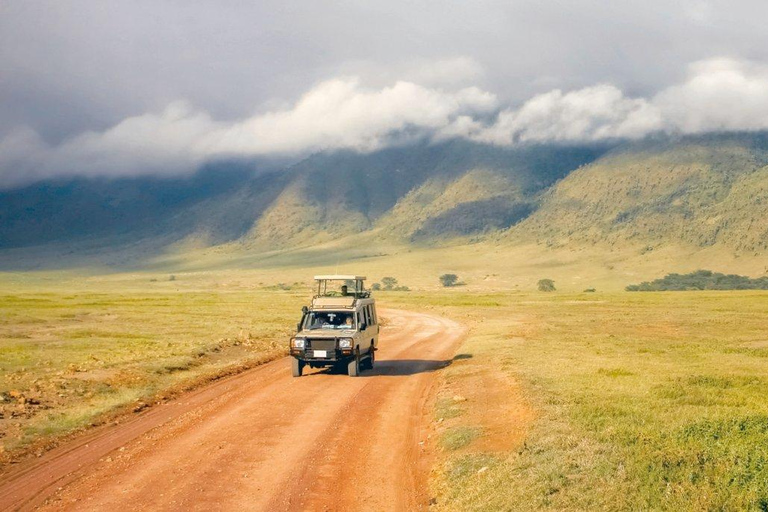 Safari privato di 2 giorni di fascia media: Ngorongoro e KilimanjaroSafari privato di 2 giorni di fascia media: Ngorongoro e Kilimangiaro