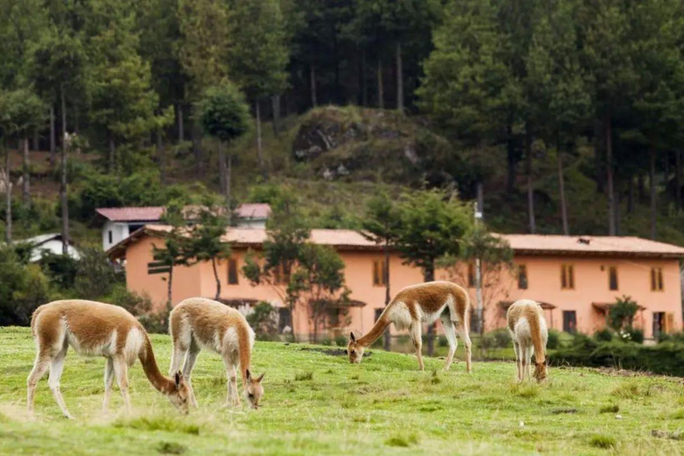 Cajamarca: Wycieczka po farmach Pocon i Otuzco