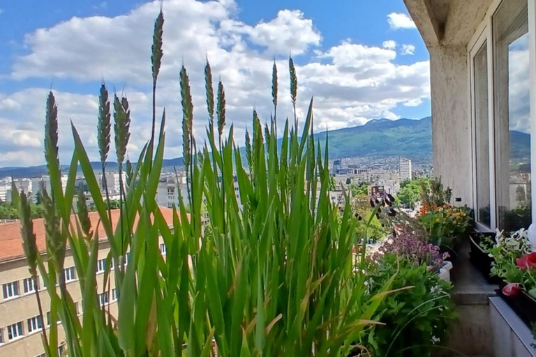 Cooking Class in Sofia: Sourdough Pancakes, Wine & Culture