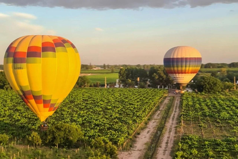 Heißluftballonfahrt über die Weinberge von Mendoza und WeintrinkenHeißluftballonfahrt über die Weinberge + Weintoast