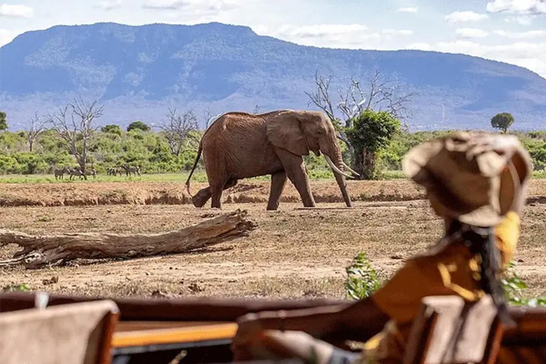 Mombasa: 4-Day Tsavo East Safari with Game Drives