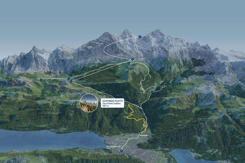 Schynige Platte - Top of Swiss Tradition ticket From Wilderswil: Schynige Platte Railway Round Trip and More