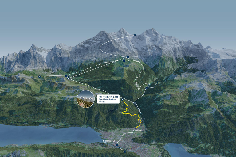 Schynige Platte - Top of Swiss Tradition ticket From Wilderswil: Schynige Platte Railway Round Trip and More