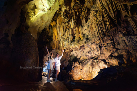 河内：下龙湾至兰哈湾 - 猫巴岛一日游从河内出发，乘坐豪华巴士（22 座）