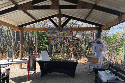 Aruba: Cunucu Bee Adventure Tour with Honey Tasting