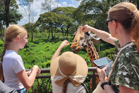 Nairobi: Giraffe Centre Visit and Giraffe Feeding Experience Nairobi: Interactive Giraffe Feeding & Wildlife Education