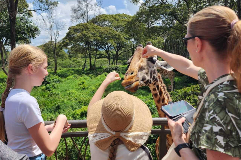 Nairobi: Giraffe Centre Visit and Giraffe Feeding Experience Nairobi: Interactive Giraffe Feeding & Wildlife Education