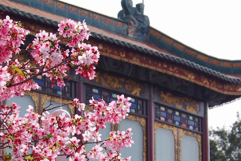 Guangzhou: Market, Ancient Town & Baomao Garden Private Tour Guide for English