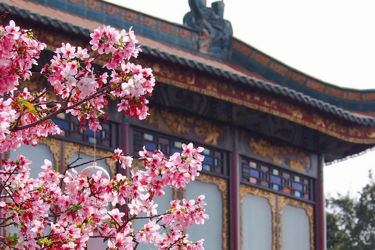 Guangzhou: Market, Ancient Town & Baomao Garden Private Tour Guide for English