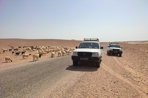 Dos días y una noche en un campamento, Ksar Ghilane desde Djerba