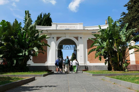 Rome: Vesuvius, Pompeii or Herculaneum by High-speed Train Pompeii Spanish Guided Tour & Vesuvio Entry ticket