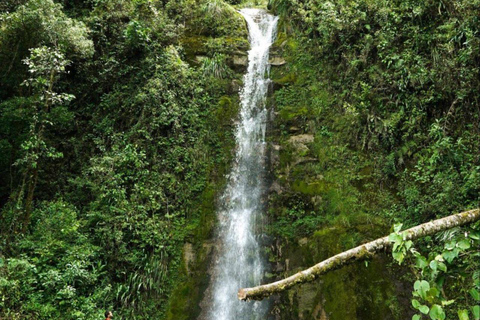 Yumbilla - Gioielli delle cascate peruviane