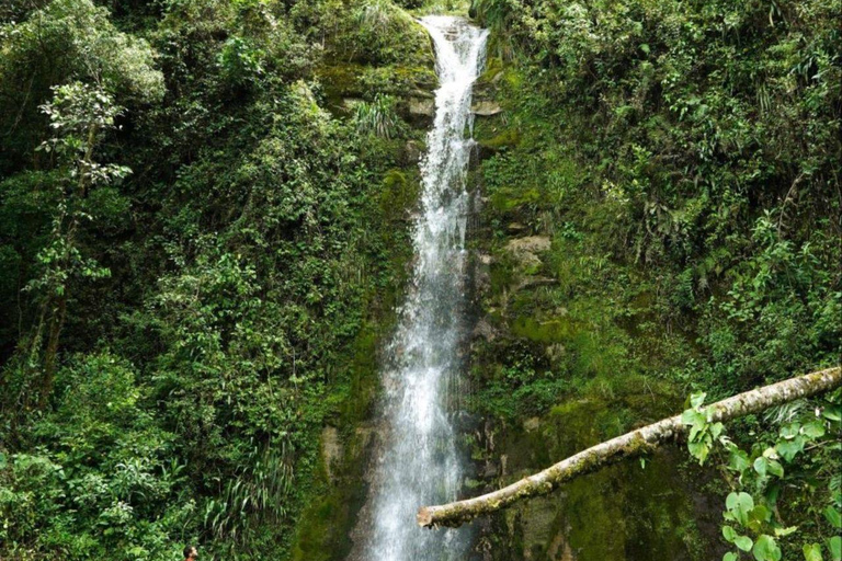 Yumbilla - Joyas de las cataratas peruanas