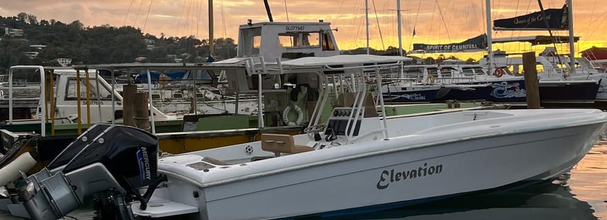 Sainte-Lucie : tour en bateau privé depuis Castries