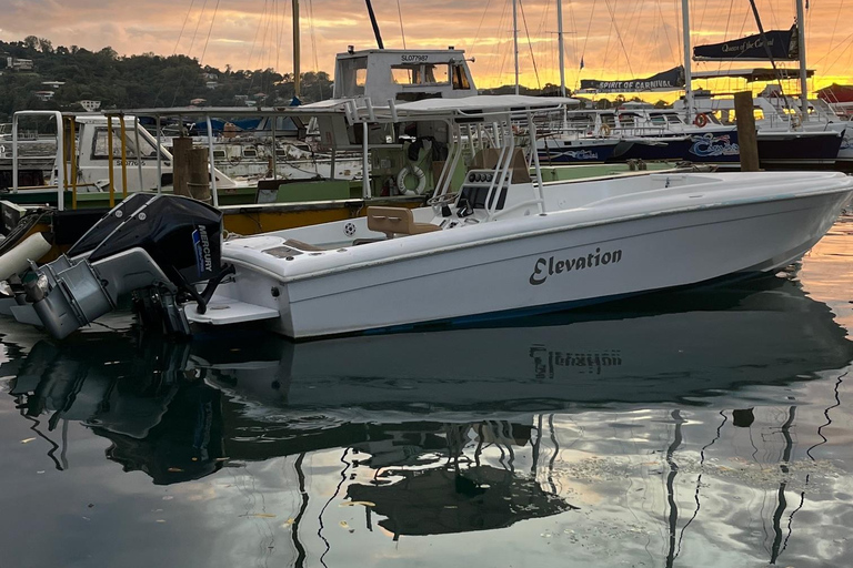 St. Lucia: Land and Sea Full-Day Coastal Adventure