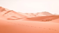 Caminata 8 días desde Marrakech hasta Erg Chegaga Camel trekking - Hizvo