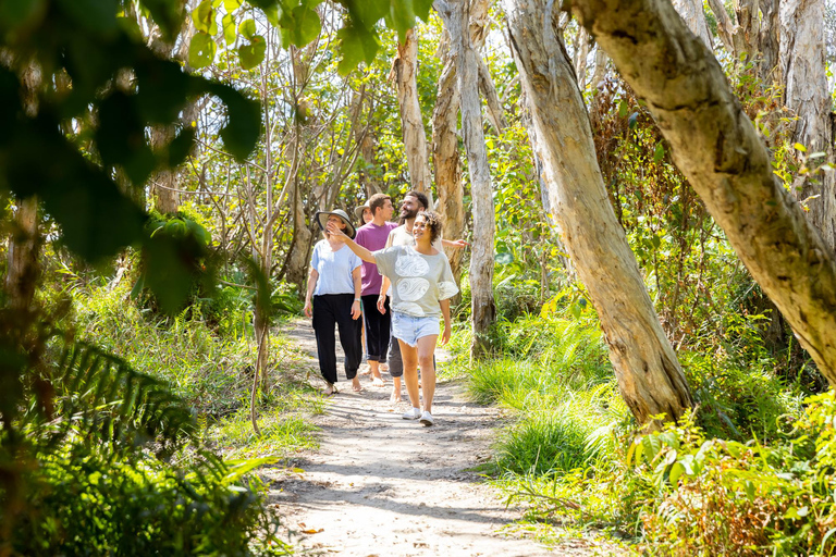 North Stradbroke Island (Minjerribah) Private Group TourBrisbane International Airport or Cruise Terminal Transfer