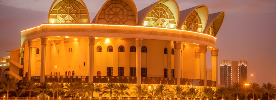 Visite citadine d'une demi-journée avec musée et baie de Bahreïn