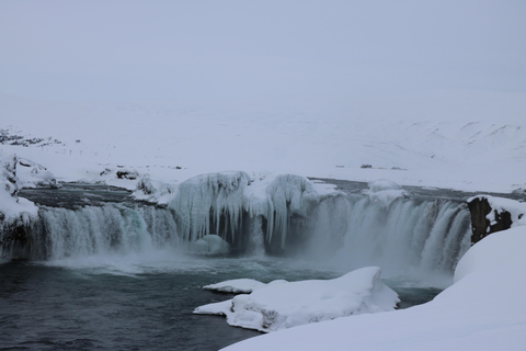 Akureyri: Lago Mývatn e aurora boreale - Speciale inverno