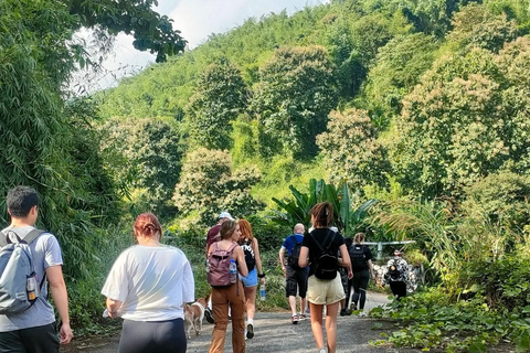 Chiang Rai: Jungle Adventure-Group Trekking & Bamboo Cooking
