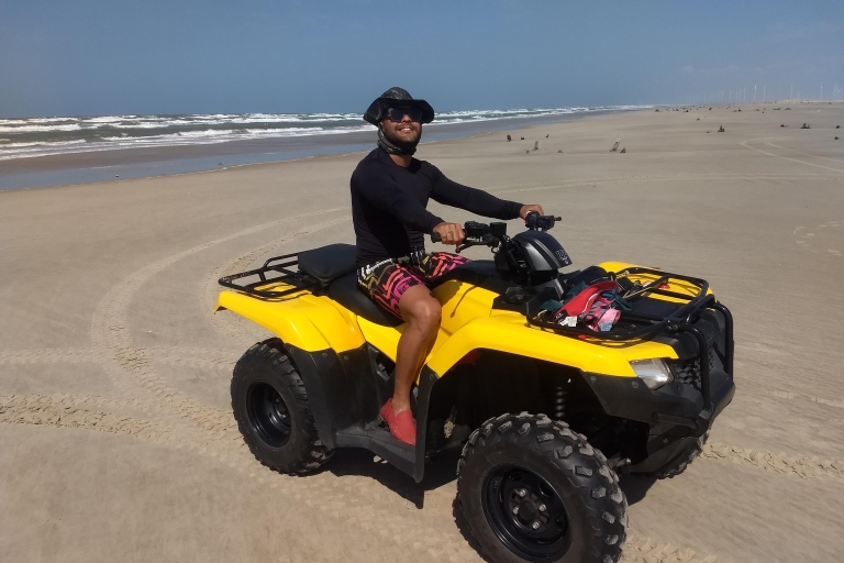 De Salvador: excursion d'une journée à Praia do Forte et à la plage de Guarajuba